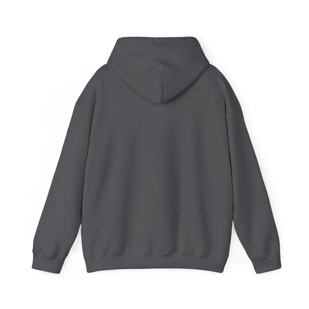 Wild Heart Western Soul Sweatshirt 🤎🎀